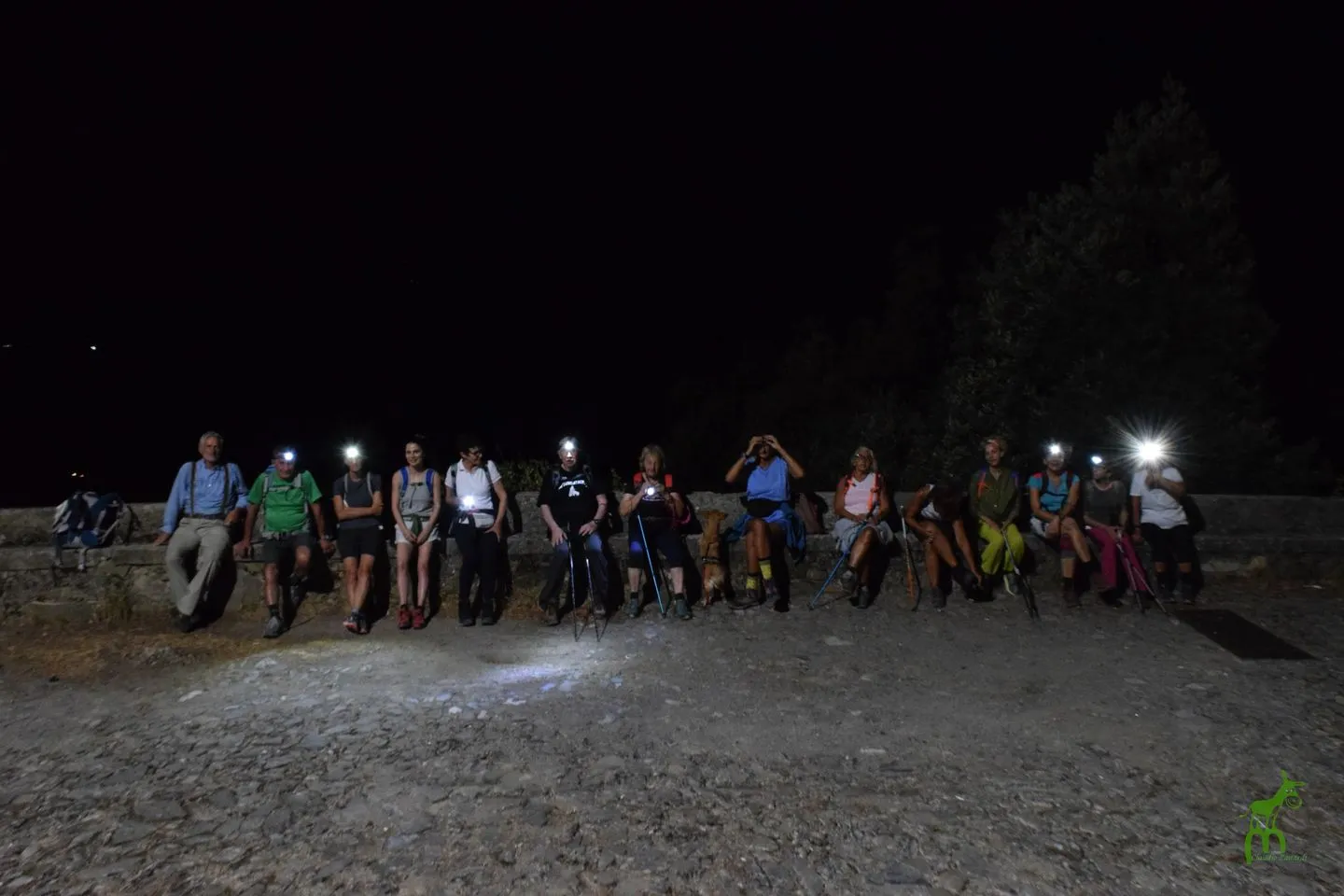 Passeggiata notturna 