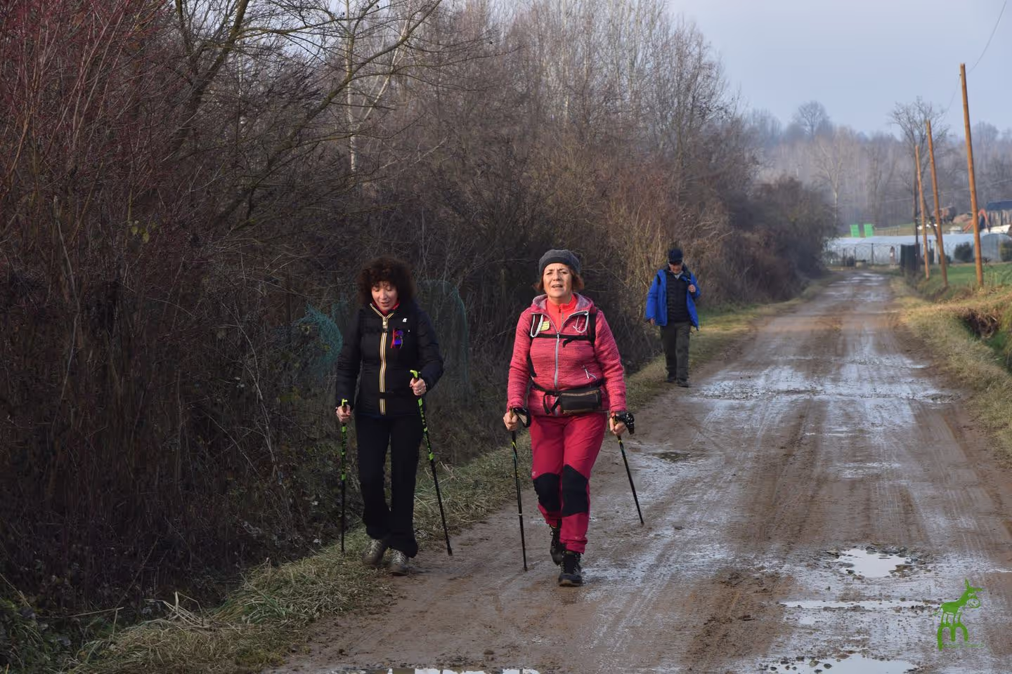Lezione di camminata nordica